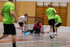Nurmes_YSKA0042