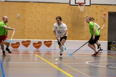 Nurmes_YSKA0046