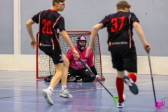 P1615_0241