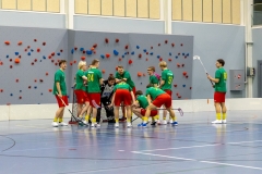 Edustus_200226_0021