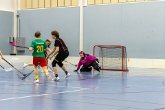 Edustus_200226_0030