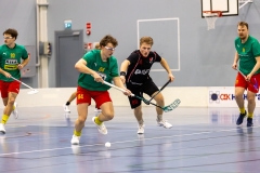 Edustus_200226_0038