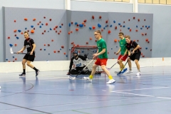 Edustus_200226_0046