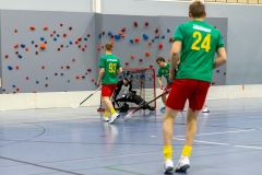 Edustus_200226_0047