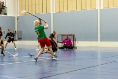 Edustus_200226_0076