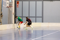 Edustus_200226_0096