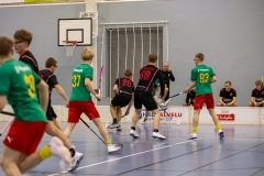 Edustus_200226_0098