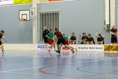 Edustus_200226_0171