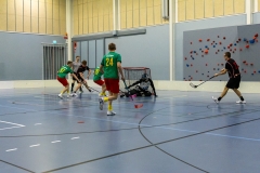 Edustus_200226_0174