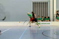 Edustus_200226_0190