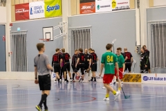 Edustus_200226_0204
