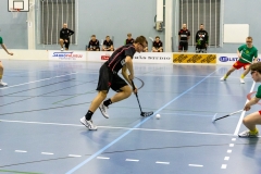 Edustus_200226_0248