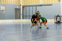 Edustus_200226_0253