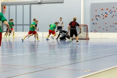 Edustus_200226_0258