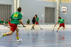 Edustus_200226_0262