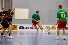Edustus_200226_0272