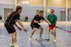 Edustus_200226_0280