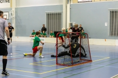 Edustus_200226_0284