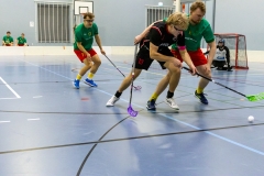 Edustus_200226_0306