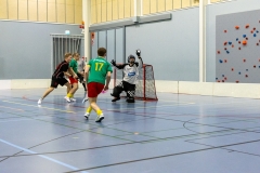 Edustus_200226_0325