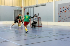 Edustus_200226_0326
