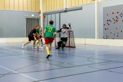 Edustus_200226_0327