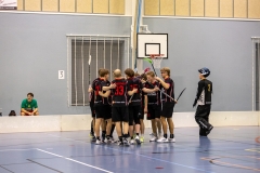Edustus_200226_0345