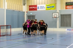 Edustus_200226_0351