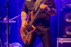PEJN_2026_0355