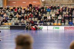 Into_edustus_0176