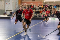 Into_edustus_0219