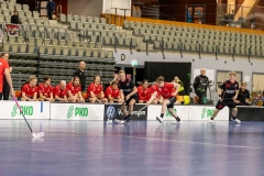 Into_edustus_0238