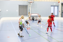 Sabakipina_060126_0092