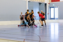 SC_050826_0247