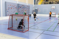 T10Sabakipina_100126_0036