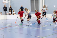 T10Sabakipina_100126_0065